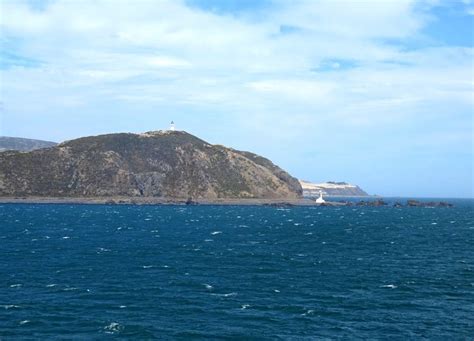 Cook Strait 的图像结果
