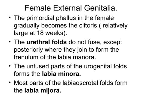 Embryology of the urogenital system | PPT