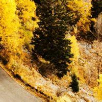 Abdominal Pain | Abdomen Pain (Stomach Pain – khedut members,morbisite