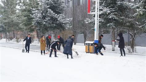 黑龙江雨雪：19个站点累计降水超25毫米，最大59毫米_绿政公署_澎湃新闻-The Paper