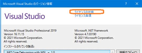 Image result for Visual Studio Activation