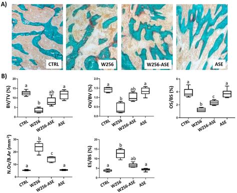 Allium subhirsutum L. as a Potential Source of Antioxidant and ...