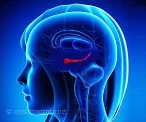 How Stress Signals in the Brain Fuel Type 2 Diabetes