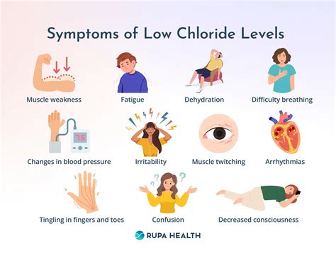 Low Chloride Levels: Causes, Symptoms, and Treatment