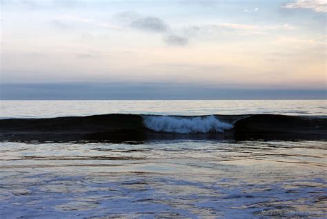 Morro Bay Dog Beach - emdot