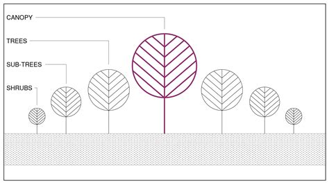 TREEZY - Afforestation