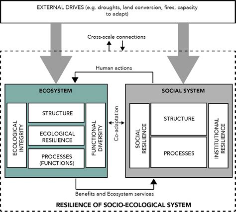 Frontiers | Quantifying resilience of socio-ecological systems through ...