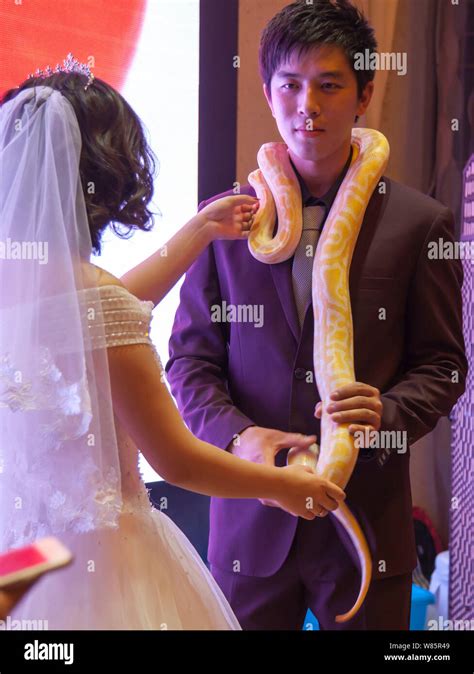 Image result for Python around Neck