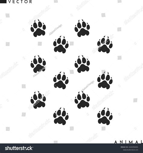 Tiger Paw Print Border
