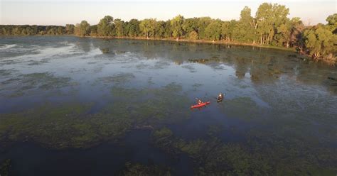 Detroit River International Wildlife Refuge | Visit Us | U.S. Fish ...