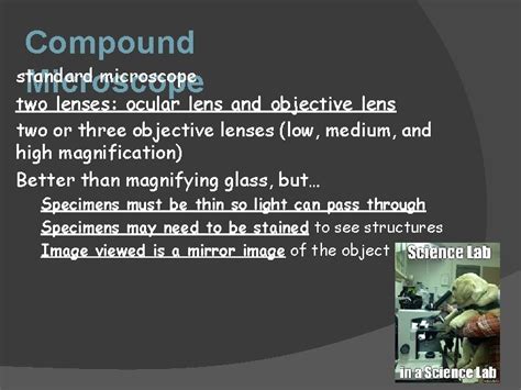 Image result for First Compound Microscope
