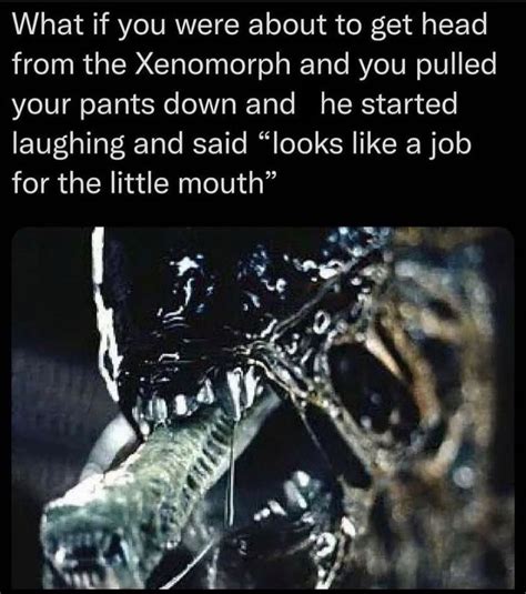 xenomorph rule 34 - Meme by DaMusicGamer :) Memedroid