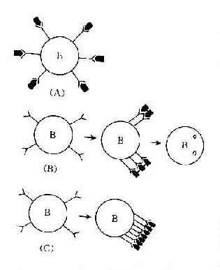 Image result for Easy Experiments with Fire