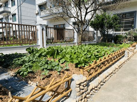 在别墅花园里设计一个菜园子_田原景观