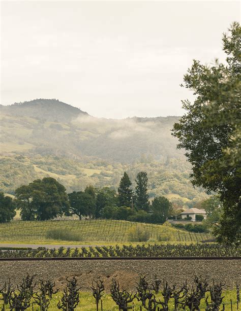 Whitehall Lane Winery (Student Project) – Packaging Of The World