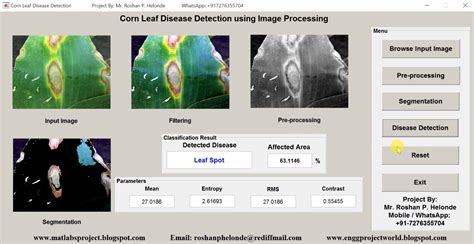 Image result for Plant Disease Detection MATLAB Source Code