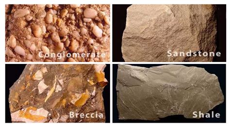 Three Types of Rocks with Examples 的图像结果