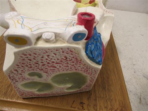 Bobbitt Laboratories 3D Anatomical Model Display Anatomy Biology ...