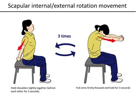 Hip and Knee Joint Flexion Exercises | Physio Visuals: Illustrated ...