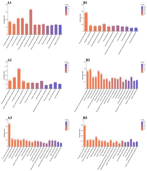 Characterization of Dark Septate Endophytes Under Drought and ...