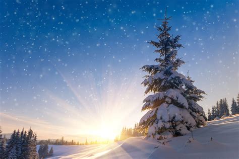 Image result for Have Beautiful DaySpring