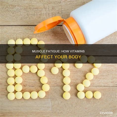 Muscle Fatigue: How Vitamins Affect Your Body | CyVigor