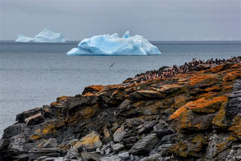 South Orkney Island... Foto & Bild | nature, eis, natur Bilder auf ...