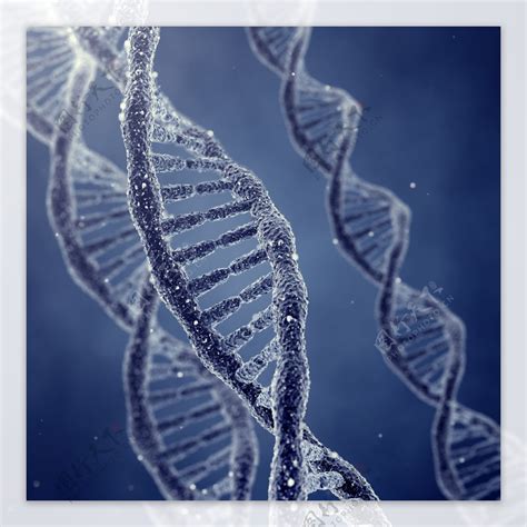 基因图片 的图像结果