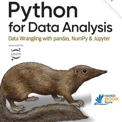 Python for Data Analysis 3rd Edition 的图像结果