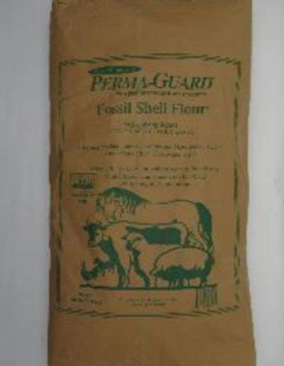 Rezultat imagine pentru Shell Fossil