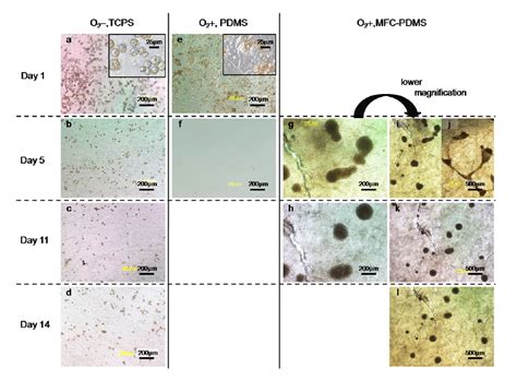 Polymers | June 2013 - Browse Articles