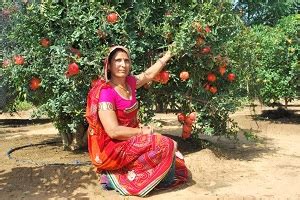 Towards equity, inclusion & sustainability: Meet the difference makers ...