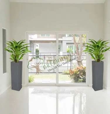 Square Planter Manufacturers in Hyderabad