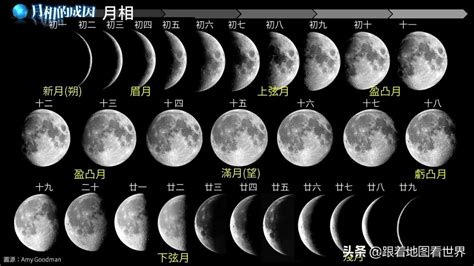 农历月亮的变化图-图库-五毛网