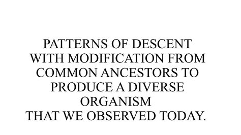 PATTERNS OF DESCENT and MODIFICATION.pptx