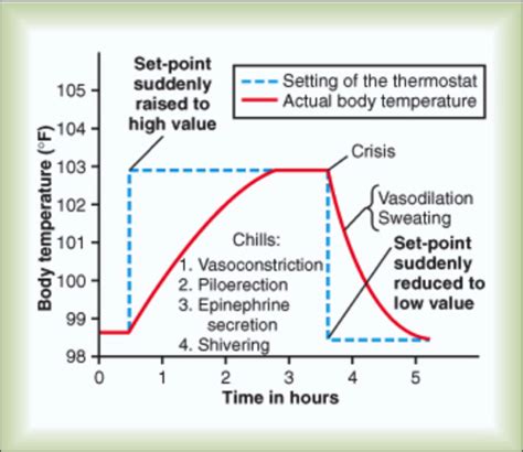 Fever Patterns 的图像结果