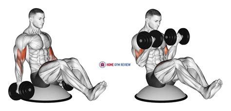 Dumbbell Biceps Curl V Sit on Bosu Ball - Home Gym Review