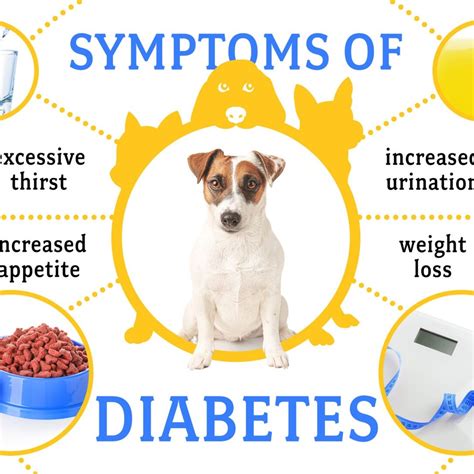 Hermosa Veterinary Clinic (@hermosavetclinic) • Instagram photos and videos