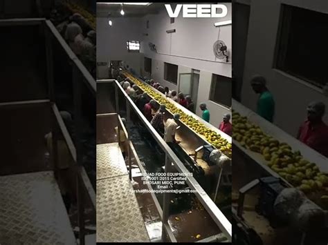 Mango Pulp Processing Line - Mango Pulp Making Machine Manufacturer ...