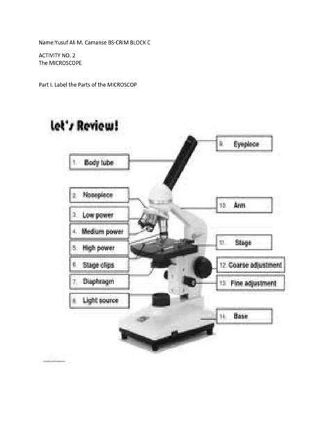 Microscope Lab Activity 的图像结果