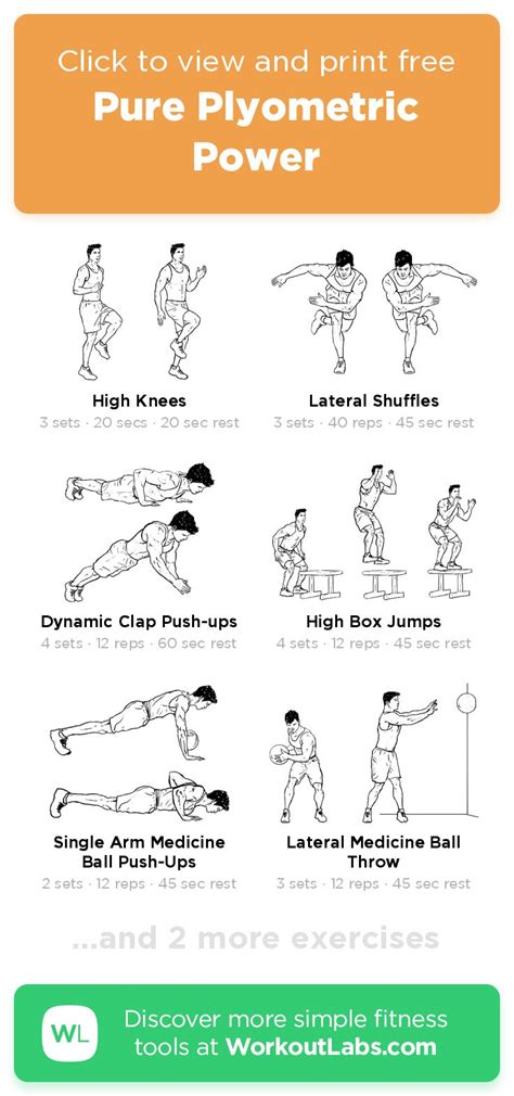 Plyometric Exercise Routine 的图像结果
