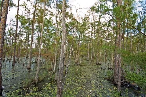 North Collier Regional Park | Collier County Parks & Recreation