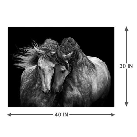 Horse Canvas Wall Art, 40x30 | At Home