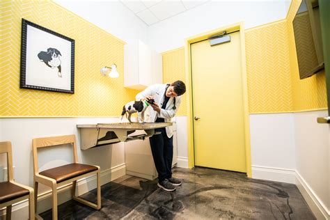 A Millennial and Pet-Friendly Concierge Vet Clinic Opens on H Street ...