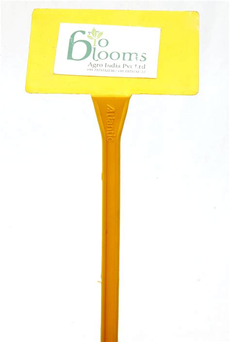 BIO BLOOMS AGRO INDIA PRIVATE LIMITED Gardening Plant Marker - White 16 ...