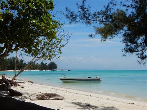 GREENHOUSE ECOLODGE (Pulau Mantanani Besar, Sabah) - Hostel Reviews ...