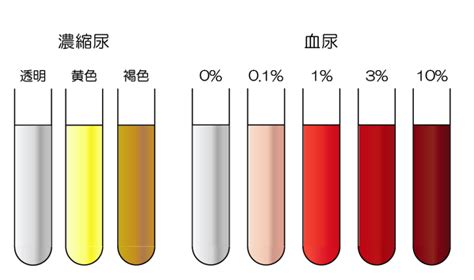 Image result for Jet Matplotlib Color Palette