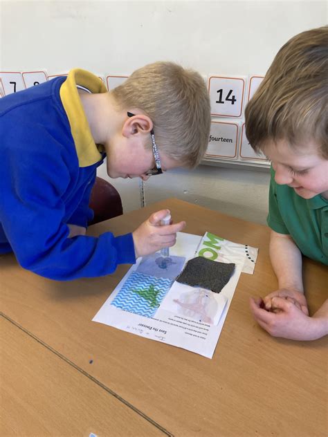 Science KS1 的图像结果