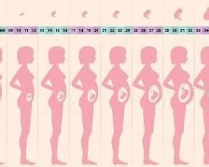 怀孕三个月补叶酸食谱_孕期食谱_亲子图库_太平洋亲子网
