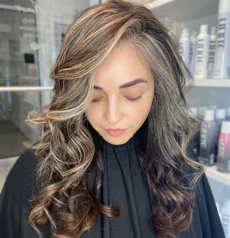 10 Gorgeous Ideas Of Dimensional Grey Hair With Brown Lowlights